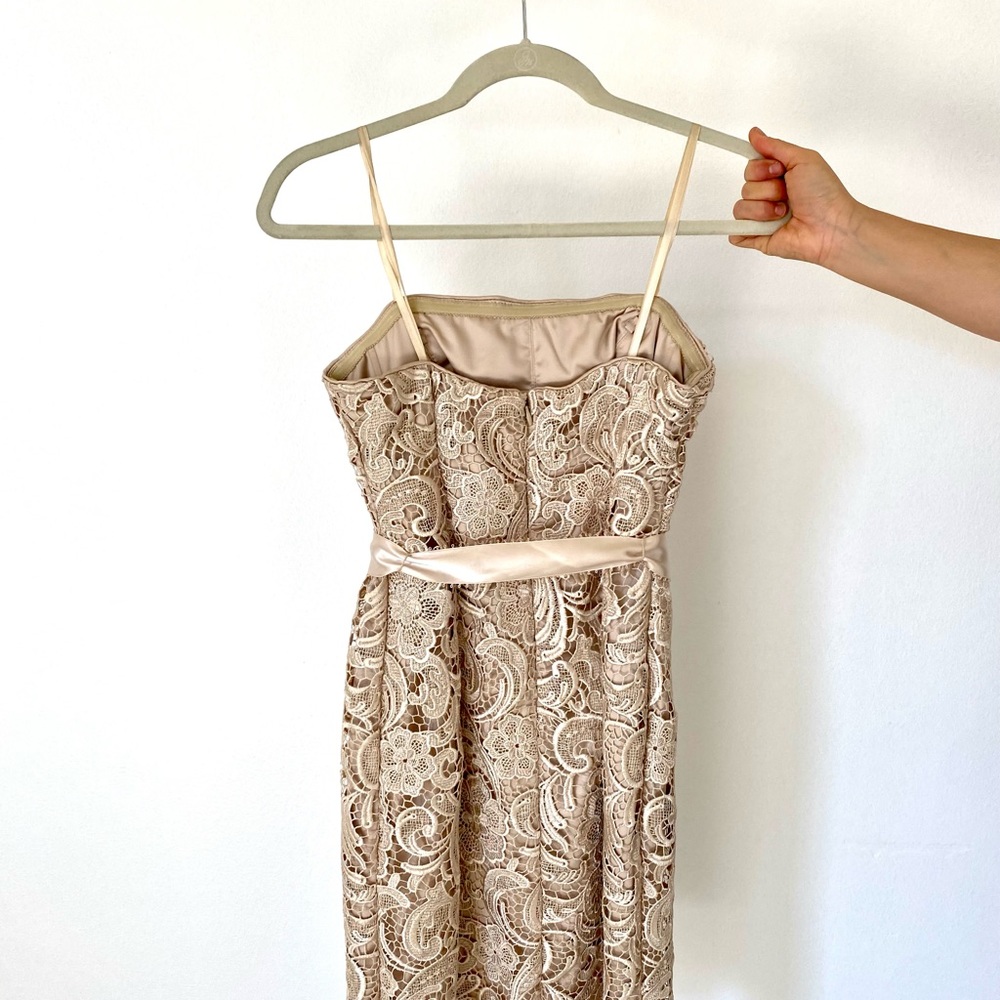 Beautiful Cache Lace Dress - Picture 3 of 5